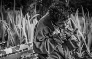 Imagen referencial / Cru00e9dito: Pixabay (Dominio Pu00fablico) 