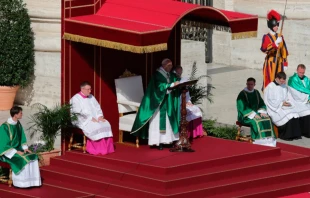 El Papa pronuncia la homilu00eda. Foto: Daniel Ibu00e1u00f1ez / ACI Prensa 