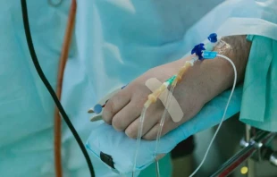 Imagen referencial. Cru00e9dito: Olga Kononenko / Unsplash. 