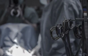 Imagen referencial. Cru00e9dito: Piron Guillaume / Unsplash. 