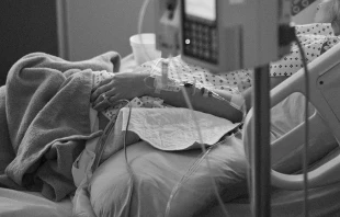 Imagen referencial. Cru00e9dito: Pixabay.  