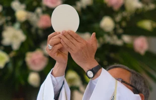 Imagen referencial. Cru00e9dito: Cortesu00eda Eduardo Berdejo / ACI Prensa 