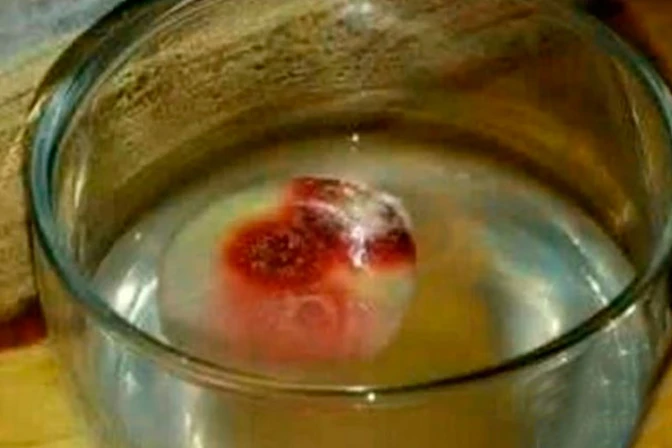 Investigan presunto milagro eucarístico en Estados Unidos