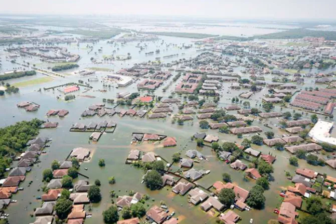 Caballeros de Colón donan 1.4 millones de dólares para reconstrucción por huracanes en EEUU