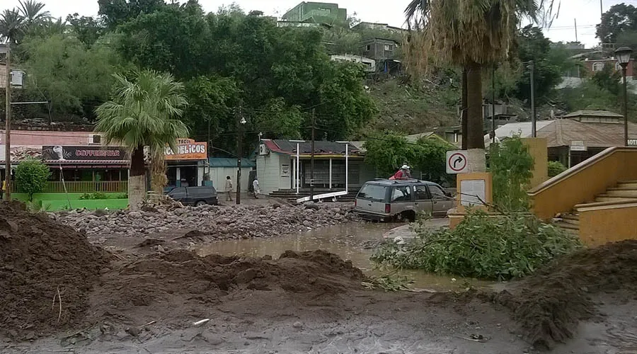 Zona afectada por huracán Odile. Foto: Ricardo Colín Armenta (CC BY-SA 2.0)?w=200&h=150
