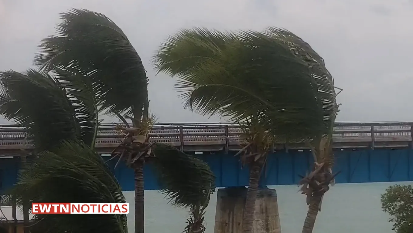 Vientos del huracán Ian llegando a la Florida. Crédito: EWTN Noticias