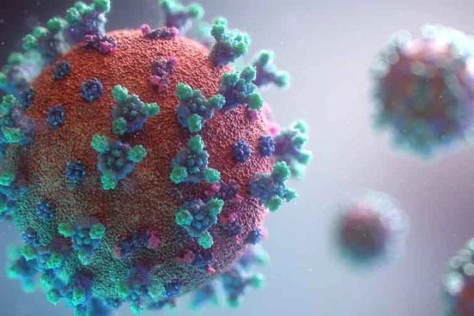 Obispos de México se reunirán para informarse sobre avances de vacuna contra COVID-19