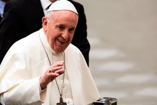 El Papa llama a los parlamentarios a orientar la lucha contra el cambio climático 