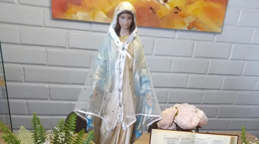Imagen de la Virgen María que peregrina por los hogares. Crédito: Arquidiócesis de Concepción.