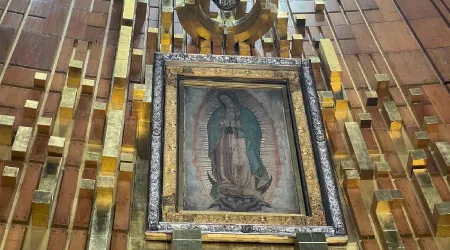 Basílica de Guadalupe recibe el fervor de los devotos “con más fuerza” tras  pandemia