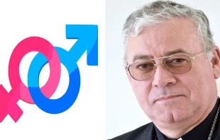 Imagen referencial Pixabay dominio pu00fablico / Mons. Juan Ignacio Gonzalez. Foto: Conferencia Episcopal Chile 