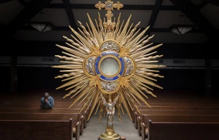 Imagen referencial / Fotografu00eda: Dimitri Conejo (Dominio Pu00fablico) 