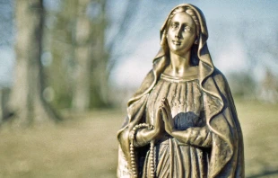 Imagen referencial / Cru00e9dito: Linus (CC BY-ND 2.0) 