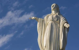 Virgen Inmaculada Concepciu00f3n, Santiago de Chile / Foto: Santuario Inmaculada Concepciu00f3n 