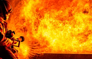 Foto referencial. Cru00e9dito: Shutterstock 