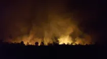 Incendios forestales en Australia. Créditos: Dominio Público