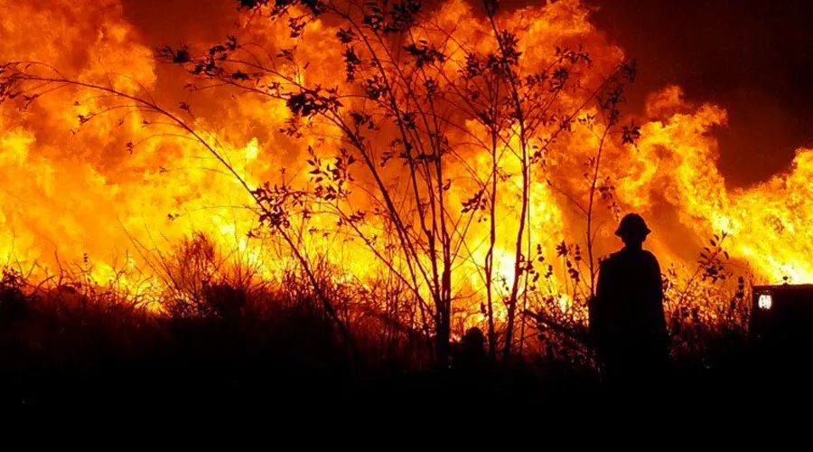 Incendio en sur de California. Foto: Twitter / @VCFD_PIO.?w=200&h=150