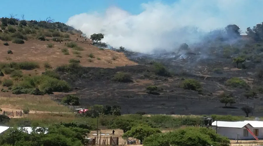 Cáritas Chile pide prevenir incendios forestales