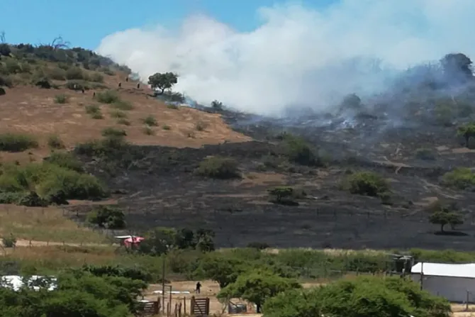 Cáritas Chile pide prevenir incendios forestales