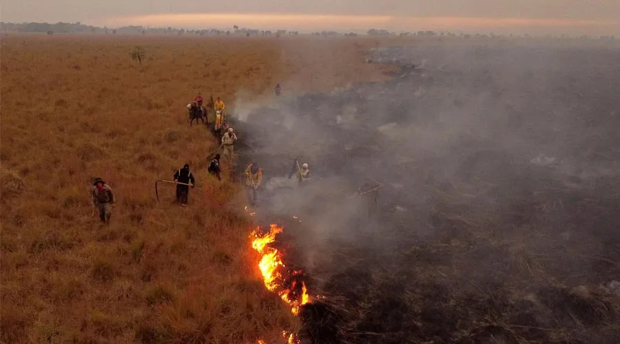 Incendios en el noreste de Argentina. Crédito: Cáritas Argentina.