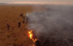 Incendios en el noreste de Argentina. Crédito: Cáritas Argentina. 