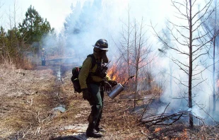 Imagen referencial / Cru00e9dito: Pixnio 