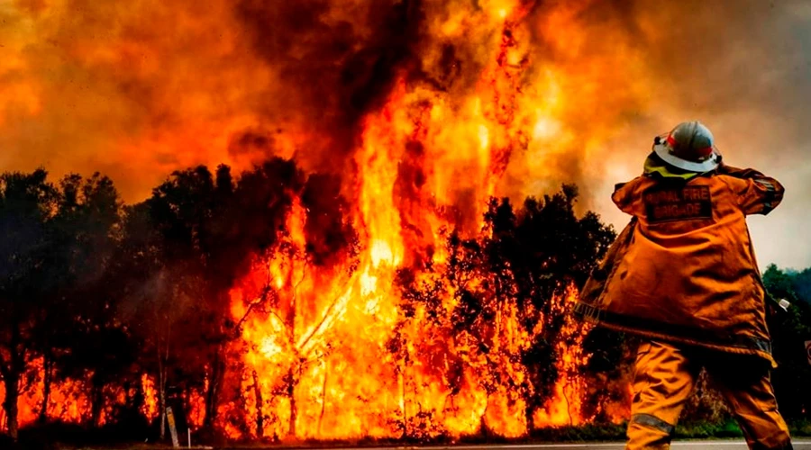 Resultado de imagen para INCENDIOS EN AUSTRALIA