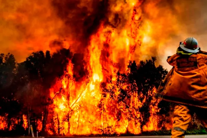 Arzobispo pide oraciones ante incendios forestales que azotan Australia