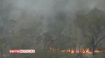 Incendios forestales en Australia. Créditos: EWTN Noticias