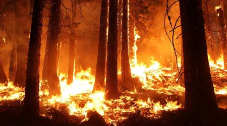 Católicos en Estados Unidos ayudan a afectados por incendios forestales