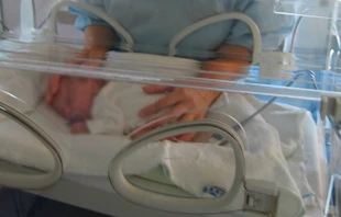 Imagen referencial / Cru00e9dito: Pixabay (Dominio Pu00fablico) 