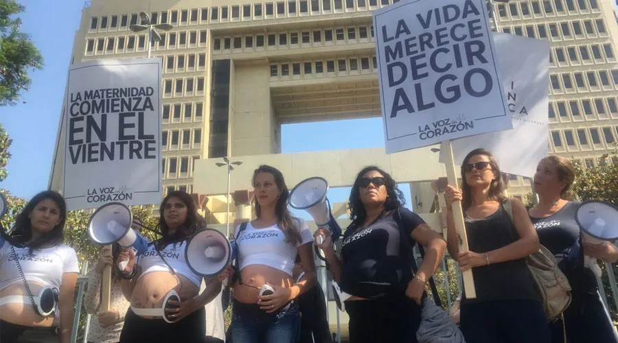 La Voz del Corazón en el Congreso de Chile / Foto: Mujeres reivindica