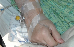 Imagen referencial / Foto: Pixabay (Dominio Pu00fablico) 