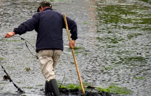 Foto referencial, Isla Grande de Chilou00e9 / Flickr de Jorge Molina (CC-BY-NC-2.0) 