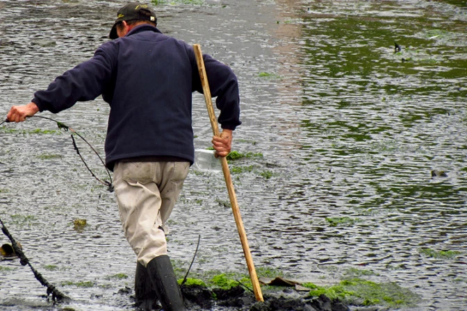 Una respuesta de la Iglesia ante la crisis de la “marea roja” en Chile