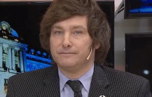 Javier Milei. Cru00e9dito: Todo Noticias/Wikipedia (CC BY 3.0) 