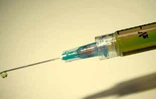 Foto referencial. Cru00e9dito: Pixabay 