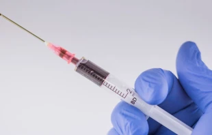 Foto referencial. Cru00e9dito: Pxhere 