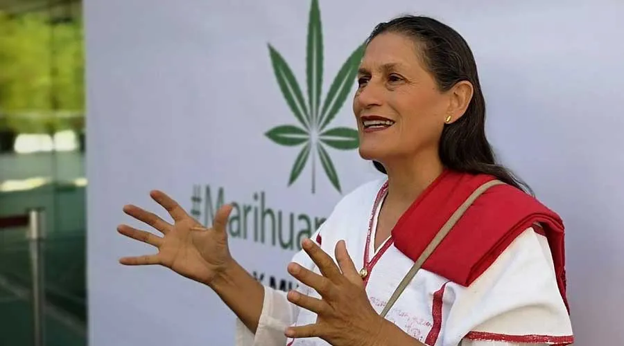 Senadora que insulta a católicos pide respeto para la marihuana por ser “planta sagrada”