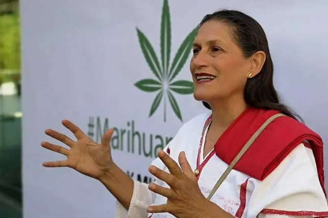 Senadora que insulta a católicos pide respeto para la marihuana por ser “planta sagrada”