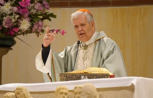 Cardenal Jorge Urosa en Misa por la paz en Venezuela, en la parroquia Cristo Rey en Bogotu00e1. Foto: David Ramos / ACI Prensa. 