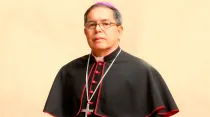 Mons. José Luis Aparicio Rueda