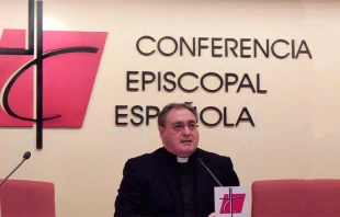 P. Jose Maru00eda Gil Tamayo, portavoz de la CEE. Foto: ACI Prensa 