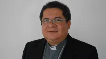 Mons. José Trinidad Fernández. Crédito: CEV