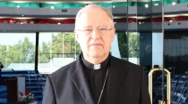 Cardenal Josef Cordes. Foto Álvaro de Juana / ACI Prensa