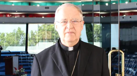 Cardenal Cordes explica criterios para la ayuda de la Iglesia Católica ante emergencias