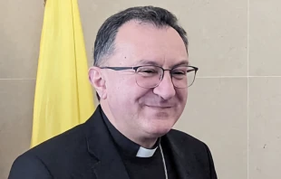 Mons. Joseph Spiteri. Cru00e9dito: ACN Chile. 