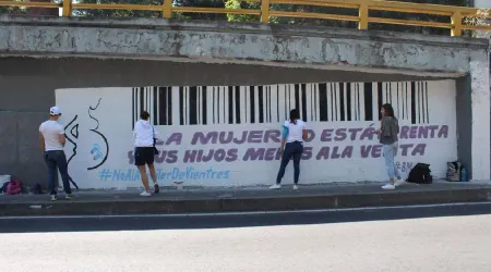 Defensores de la vida y la mujer exigen prohibir los vientres de alquiler en México