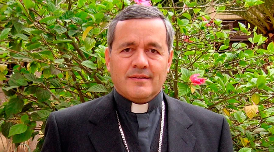 Mons. Juan Barros, Obispo de Osorno (Chile). Foto iglesia.cl