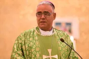 Papa Francisco erige una nueva diócesis y nombra a su primer obispo
